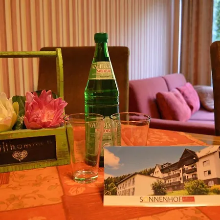 Sonnenhof-willingen 2* فيلنغن