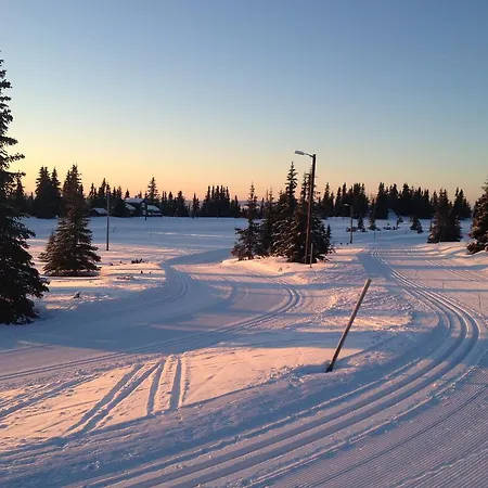 Sonnenhof-willingen 2* فيلنغن