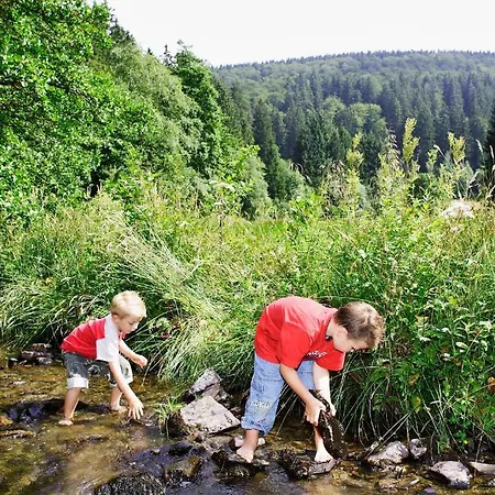 Sonnenhof-willingen Aparthotel 2*