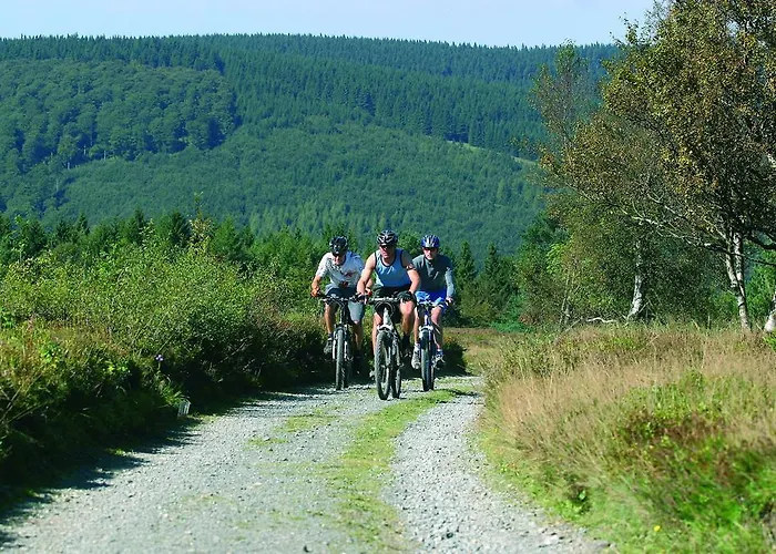 Aparthotel Sonnenhof-willingen Willingen (Upland)