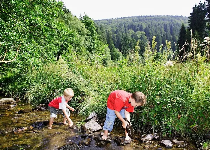 Sonnenhof-willingen Aparthotel 2*
